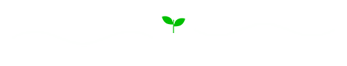 Uma linha em  formato de onda com um vaso de planta no meio